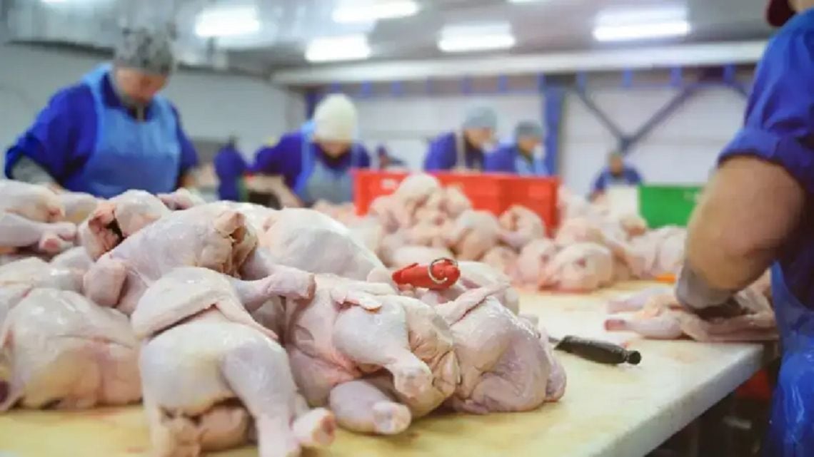 Por primera vez en la historia, el pollo le ganó la pulseada a la carne vacuna en la mesa de los argentinos