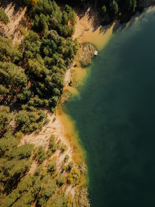 Una capilla de los años treinta emerge entre el bosque nativo del lago Lácar