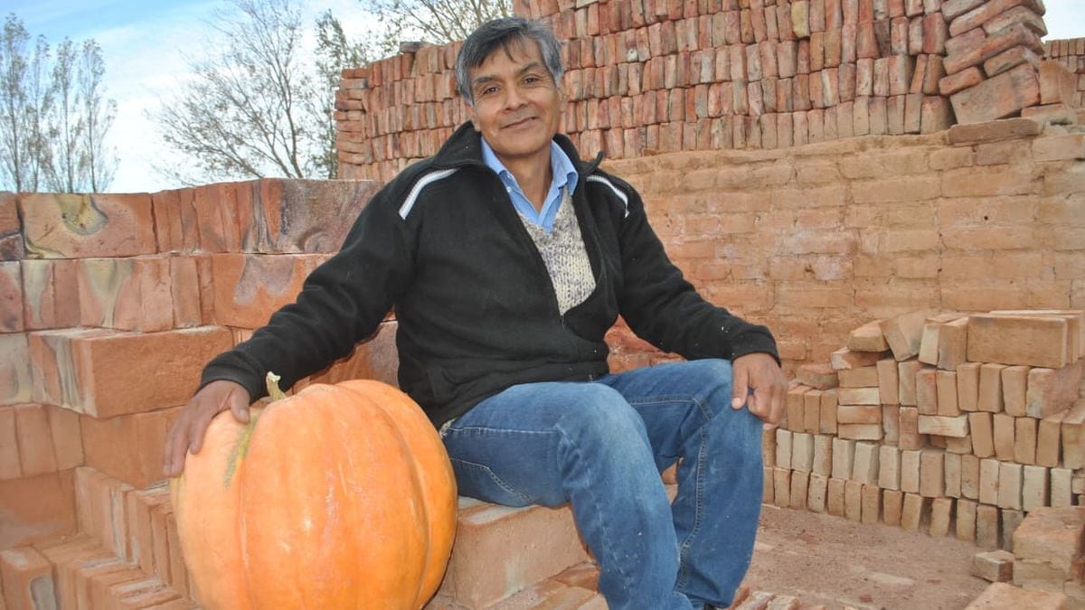 Mariano Moreno reactiva una tradición del Valle del Covunco con el concurso Ciudad Zapallo