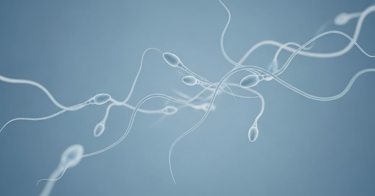 Reino Unido reimplanta tejido testicular criopreservado y abre una nueva chance para la fertilidad después de la quimioterapia