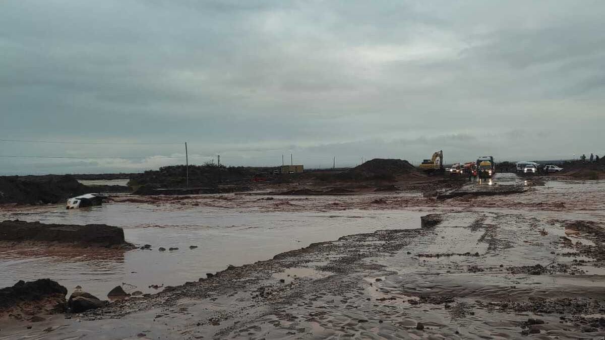 Rincón de los Sauces bajo el agua: medio centenar de familias asistió Defensa Civil y la Ruta 8 sigue cortada