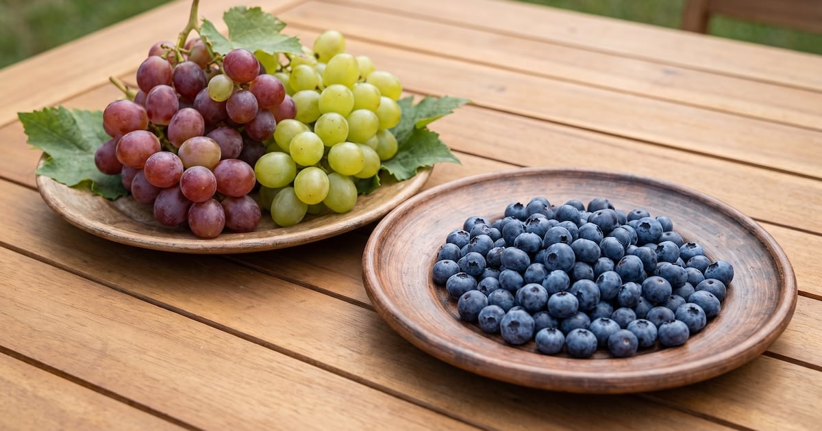 Arándanos y uvas frente a la glucosa: la fibra como variable clave en la elección de la fruta diaria