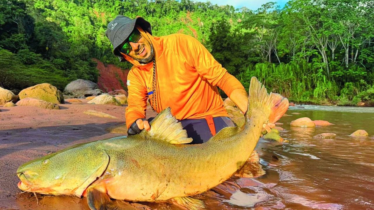 Pesca en la Amazonía boliviana: un río de 350 kilómetros donde el sábalo vive hasta doce horas sobre la lancha