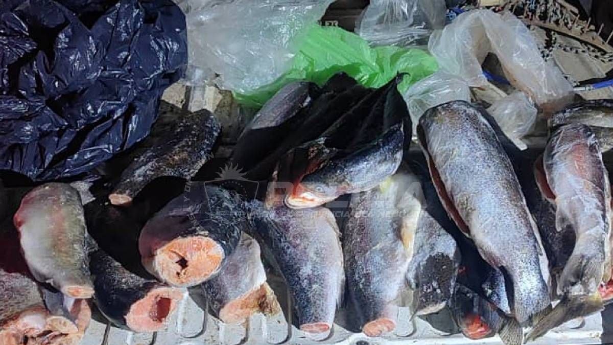 Pesca en Neuquén: los embalses que se pueden visitar antes del 1 de noviembre y las reglas que no se pueden romper
