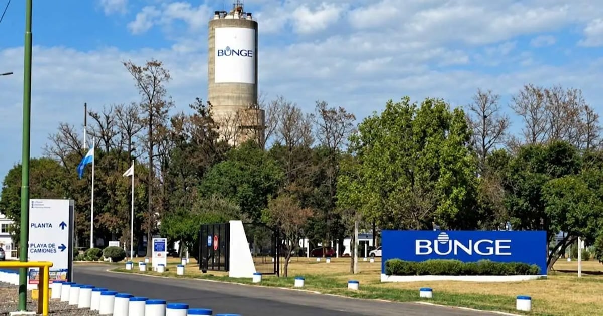 Campana: cesa la producción de insumos para fertilizantes y se pierden 110 empleos